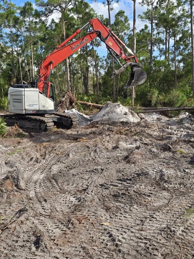 Excavator clearing overgrown land for a property improvement project.